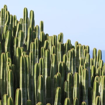 The main taxes when buying a property in Tenerife