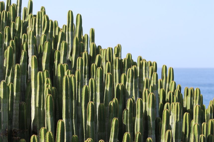 The main taxes when buying a property in Tenerife