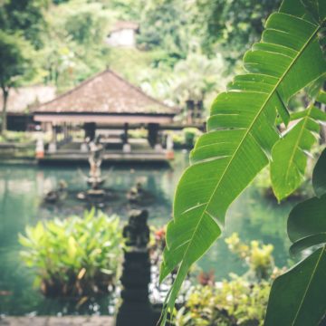 The Property Market in Asia