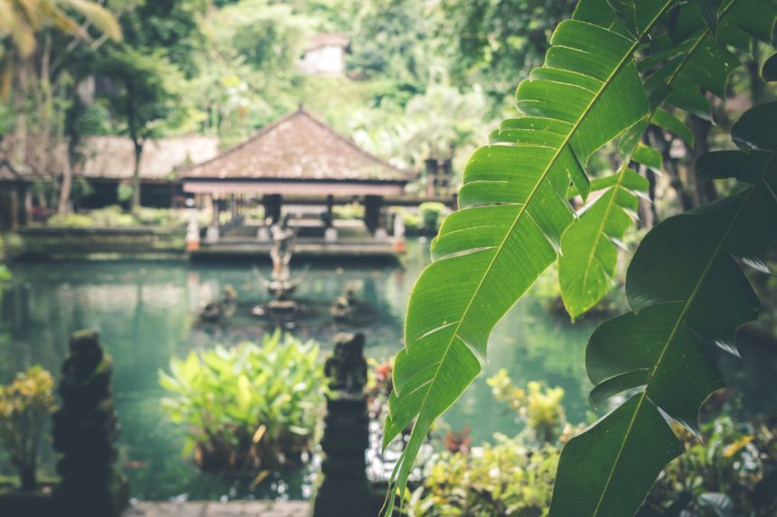 The Property Market in Asia