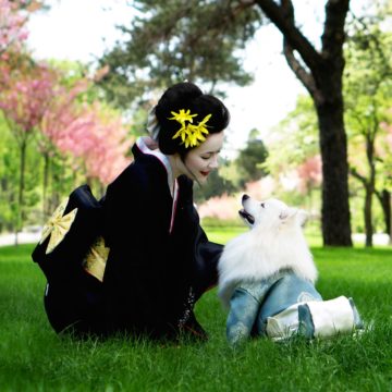 Good News for Young People in Japan