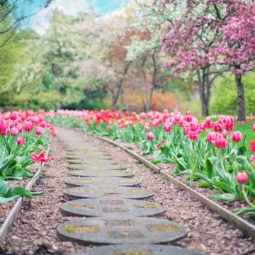 Landscape Design Trends 2019