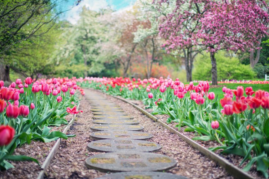 Landscape Design Trends 2019