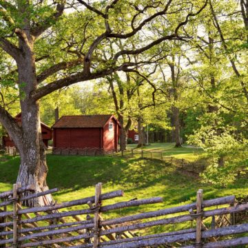 How to Buy a Property in Sweden?