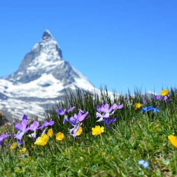 European Countries that Russian Investors Love the Best