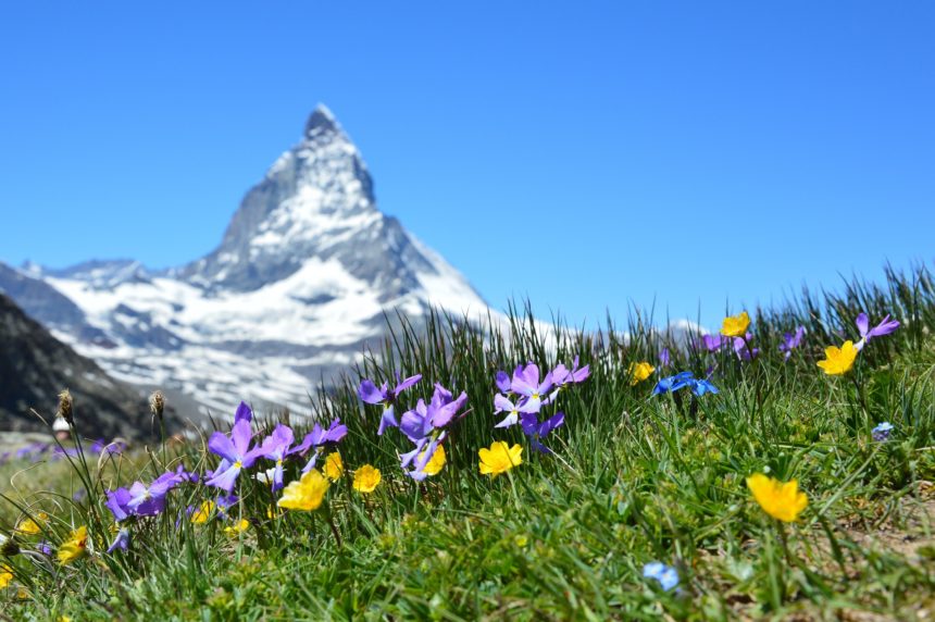 European Countries that Russian Investors Love the Best