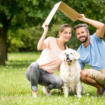 Top 10 Ideal Breeds Of Dogs For Life In Apartments