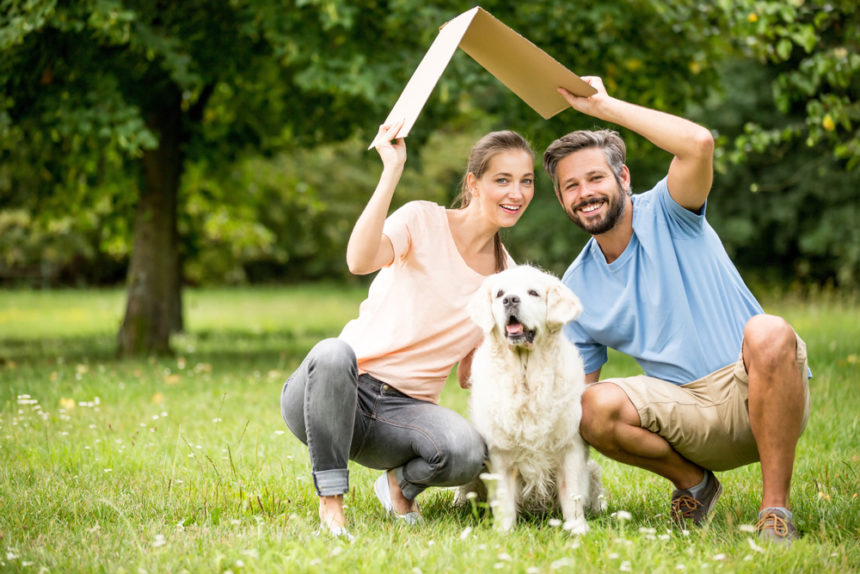 Top 10 Ideal Breeds Of Dogs For Life In Apartments