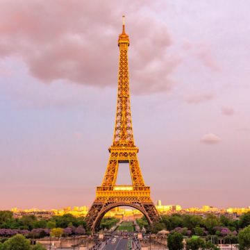 Why will soon balcony gardens appear in Paris?